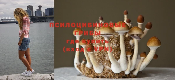 альфа пвп VHQ Гусев