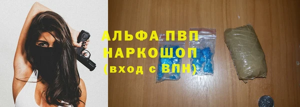 гашик Гусиноозёрск