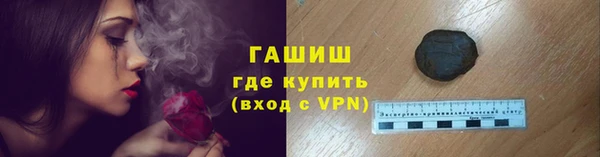 прущий лед Новозыбков
