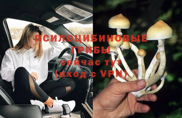 гашик Гусиноозёрск