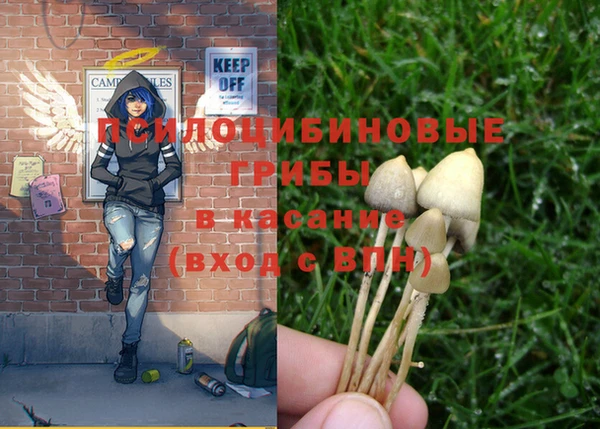 стафф Няндома