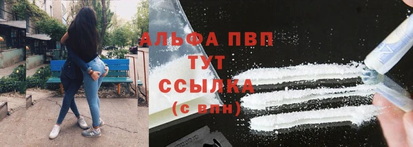 apvp Гусь-Хрустальный