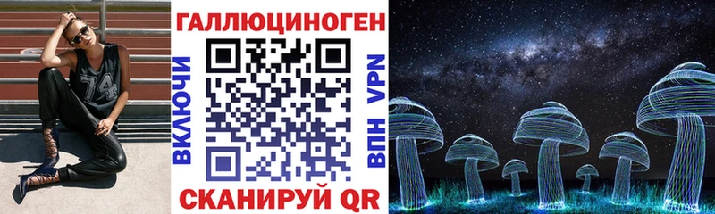 кракен как войти  Отрадный  Псилоцибиновые грибы Magic Shrooms 