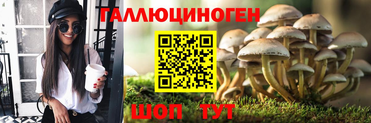 Отрадный  хочу наркоту  Вход с VPN  Псилоцибиновые грибы Cubensis 
