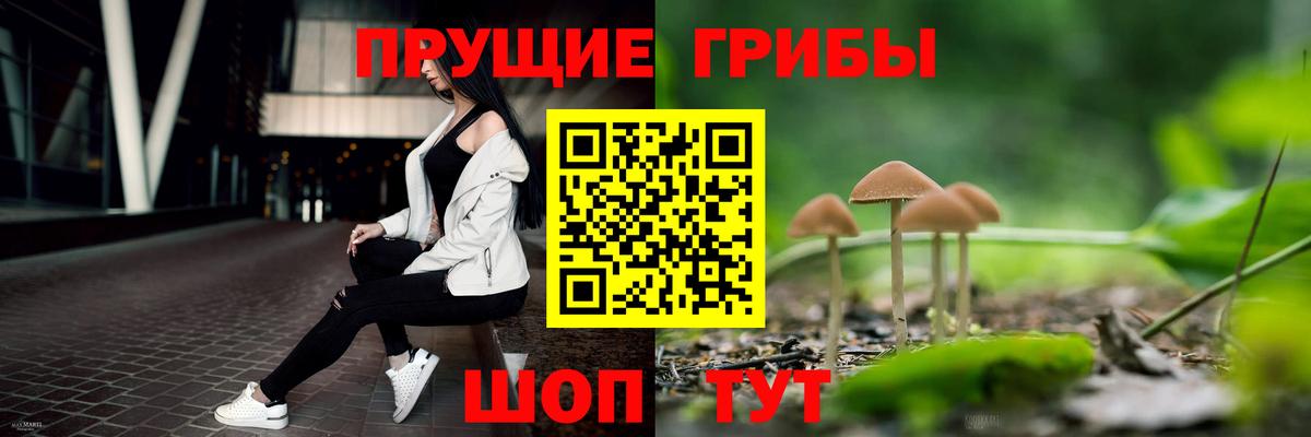 Галлюциногенные грибы мицелий Отрадный