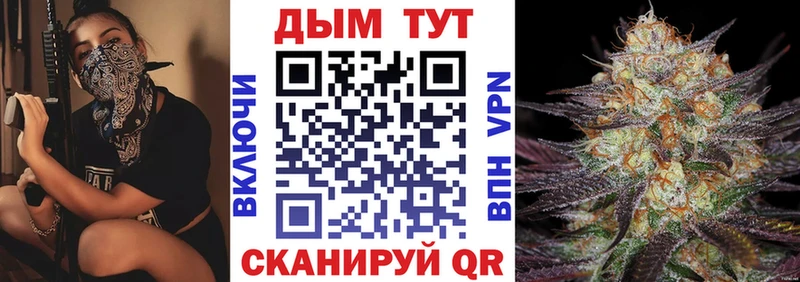 Каннабис сатива как найти наркотики Отрадный